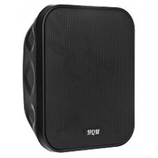 Głośnik naścienny HQM-NPZ3025B