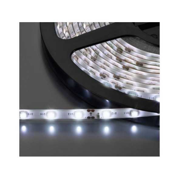 LEDS-5MPE/WS