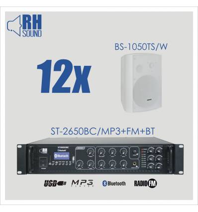 ST-2650BC + 12x BS-1050TS/W